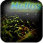 Helios Live Wallpaper