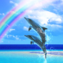 Dolphin☆Rainbow Free
