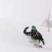スノったーA | ウィンターシーズン到来！全国のスキー場の「今」の情報をチェックしてスキー・スノボに行こう！